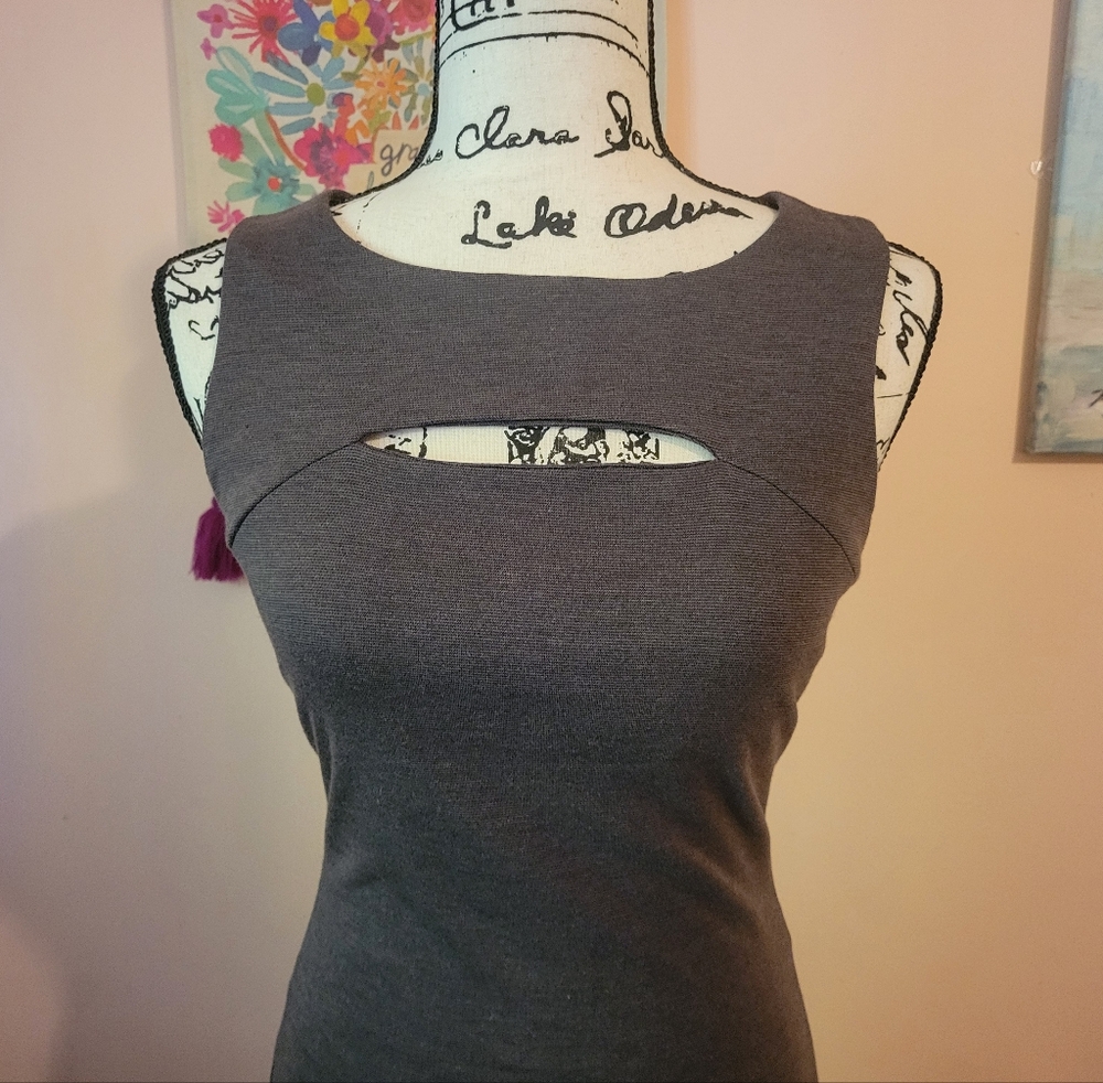 Forever 21 Charcoal Cut-Out Bodycon Stretchy Zipper-Back Minidress, S, EUC - Picture 2 of 11